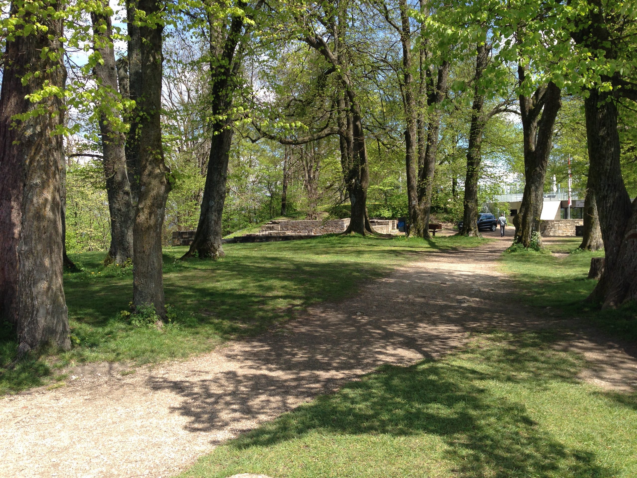 Den Duft des Sommers finden